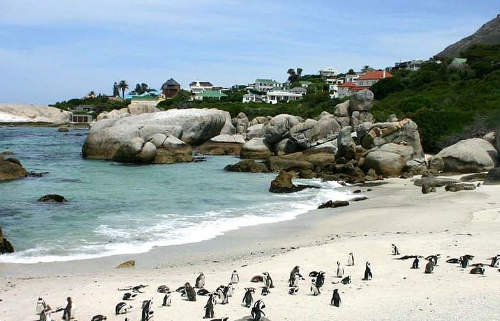 Keindahan Boulders Beach