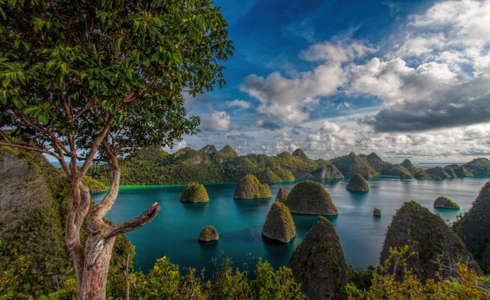 Indonesia raja ampat nature tropical mountain island landscape wallpaper exotic forest sea beach trees green scenery clouds blue wallpapers turquoise