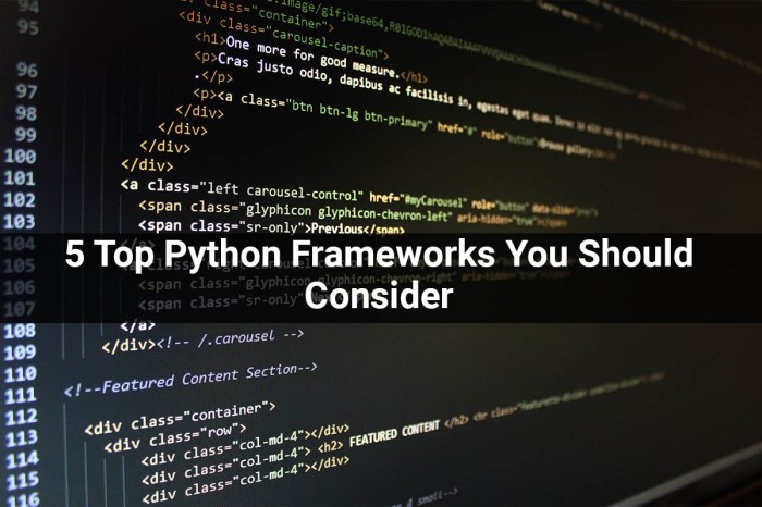 Python frameworks developer introduction