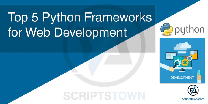 Python development web frameworks top