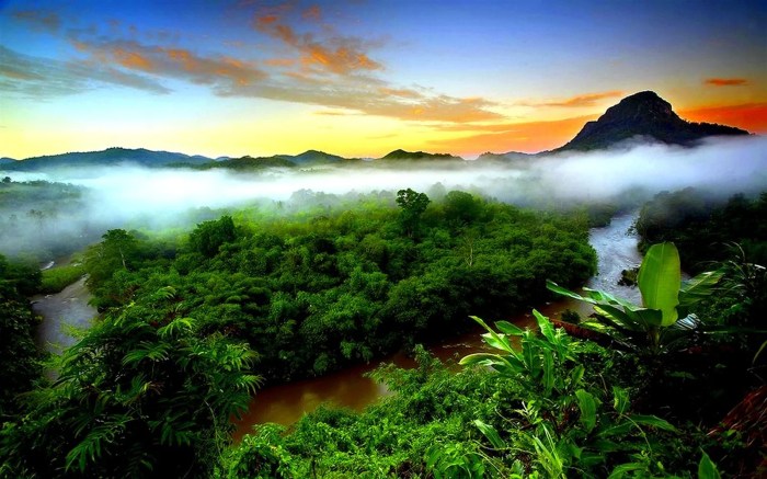 Rainforest forest mountain green tropical indonesia wallpaper hd sunset rainforests sky desktop rain clouds above wallpapers mist nature fog evaporation