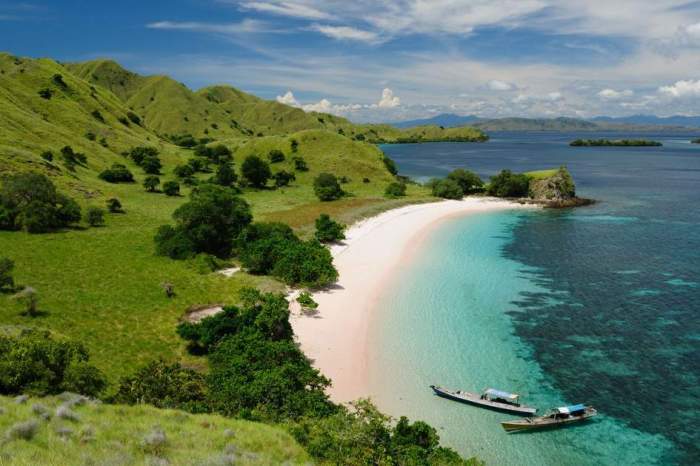 National park komodo indonesia beach parks rafal shutterstock pink main