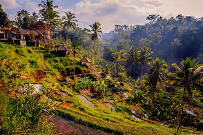 Bali ubud tour culture palace arts exotic classic guide asia freedomdestinations travel climate map