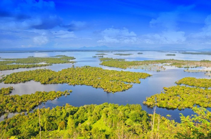 Kutai national park kalimantan authentic indonesia credit