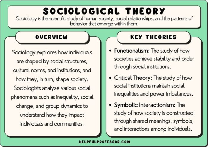 Theories sociology